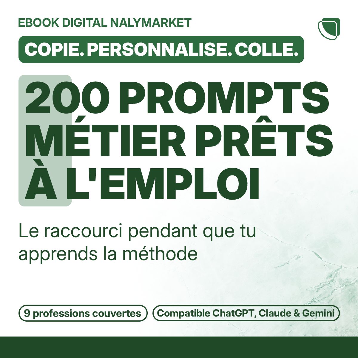 200 Prompts Métier