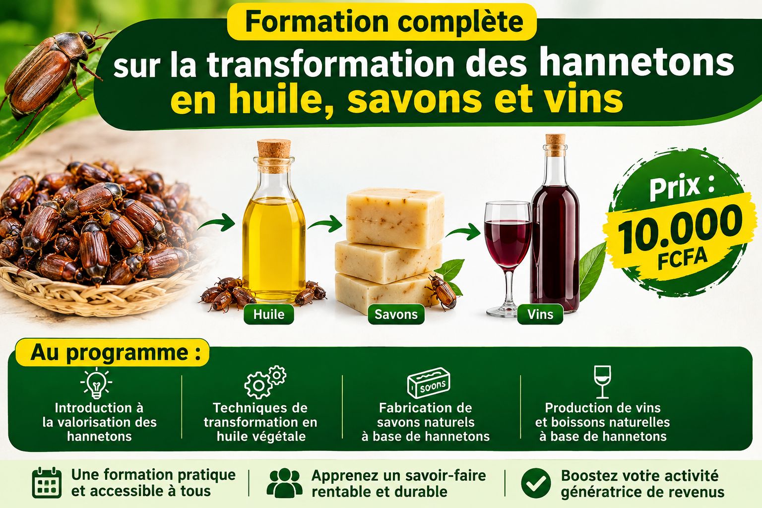 Guide: transformation des sous produits Hannetons