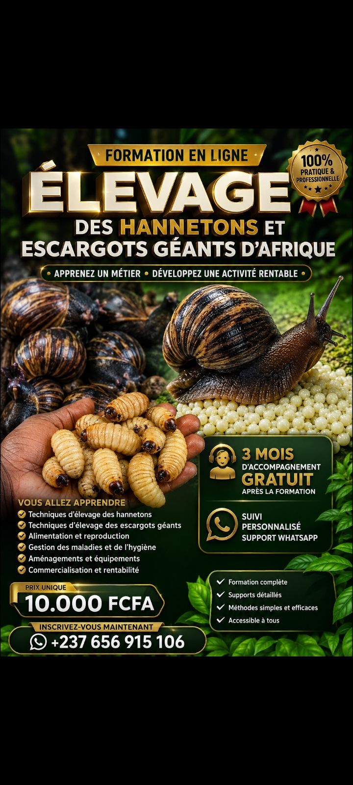FORMATION : HANNETONS & ESCARGOTS