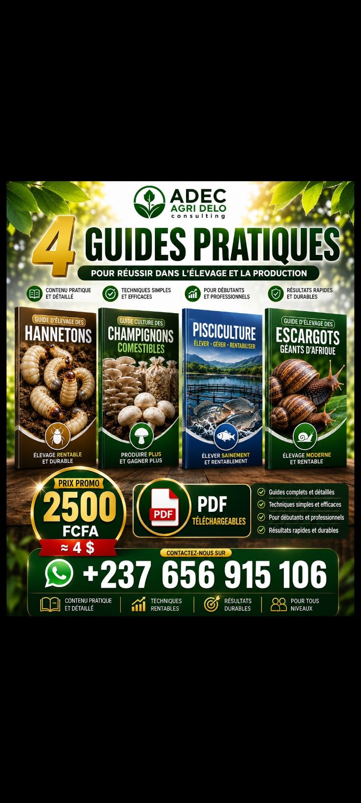 4 GUIDES PDF téléchargeables