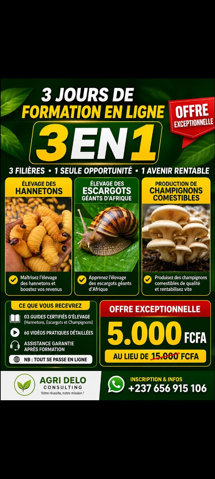 Pack formation 3en1 Hannetons, escargots, champignons
