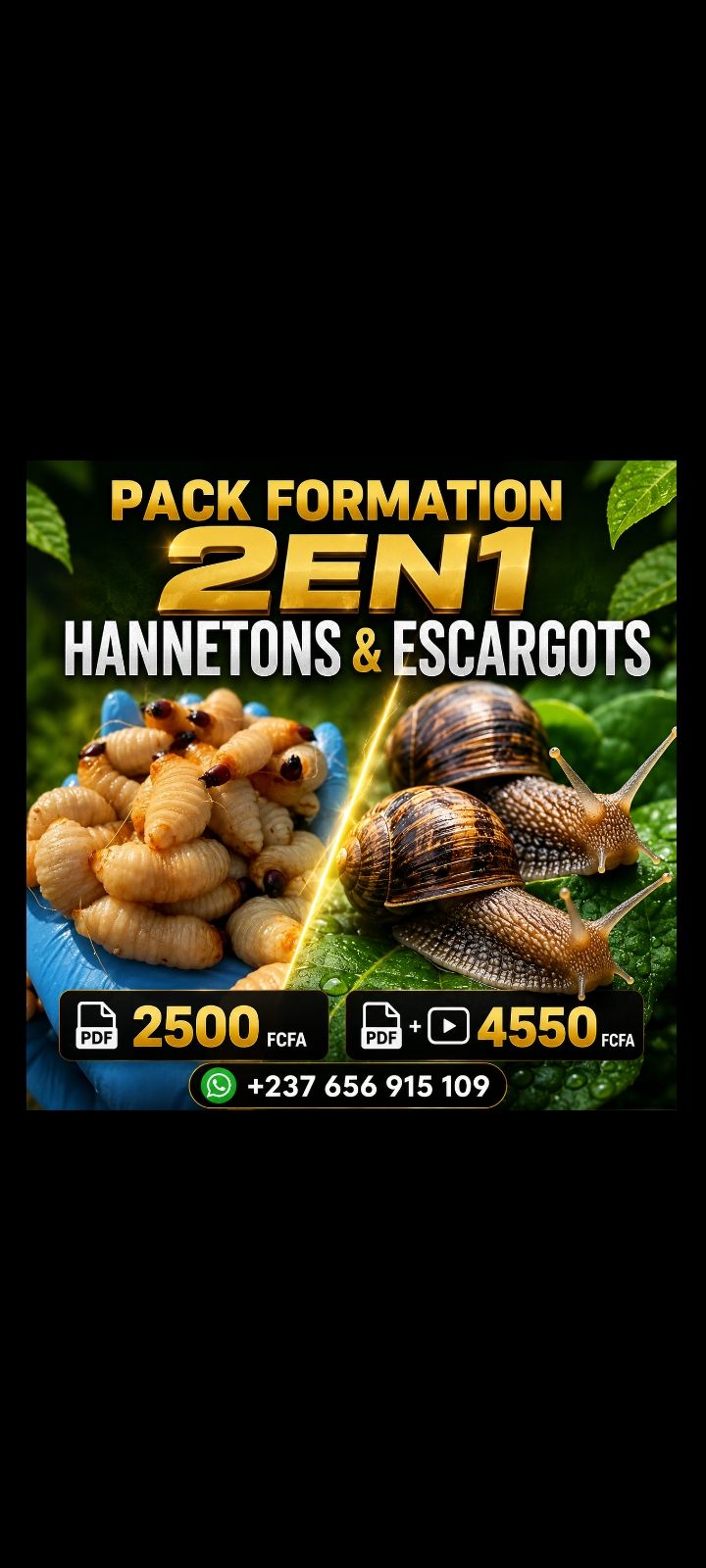 Pack formation 2en1 HANNETONS & ESCARGOTS