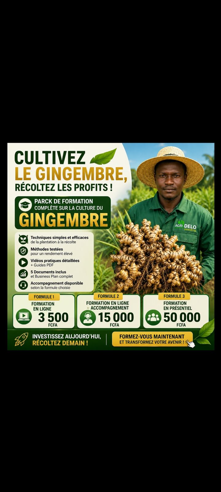Réussir ton champ de GINGEMBRE