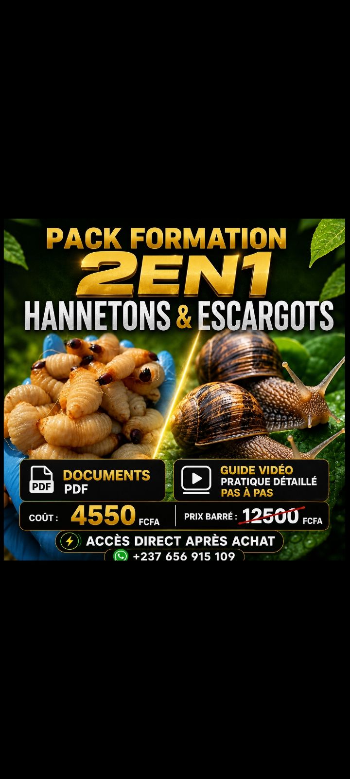 PACK formation 2en1 HANNETONS & ESCARGOTS