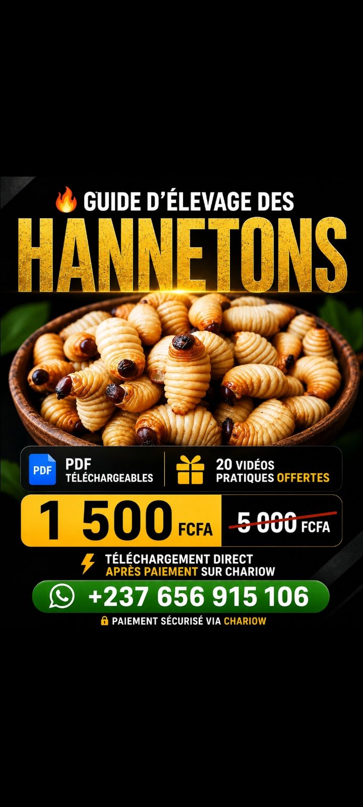 Guide : Élevage des hannetons