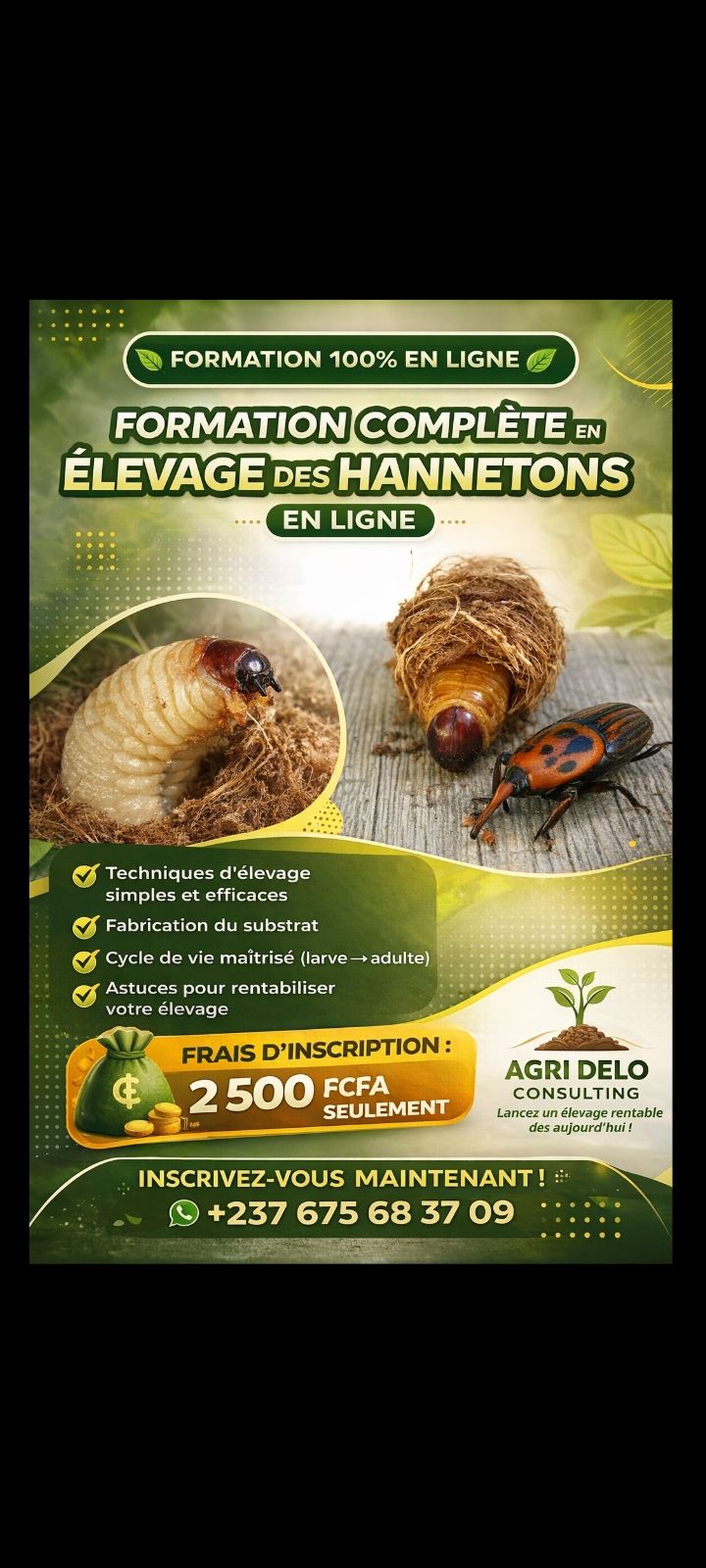 Inscription (hannetons en ligne))