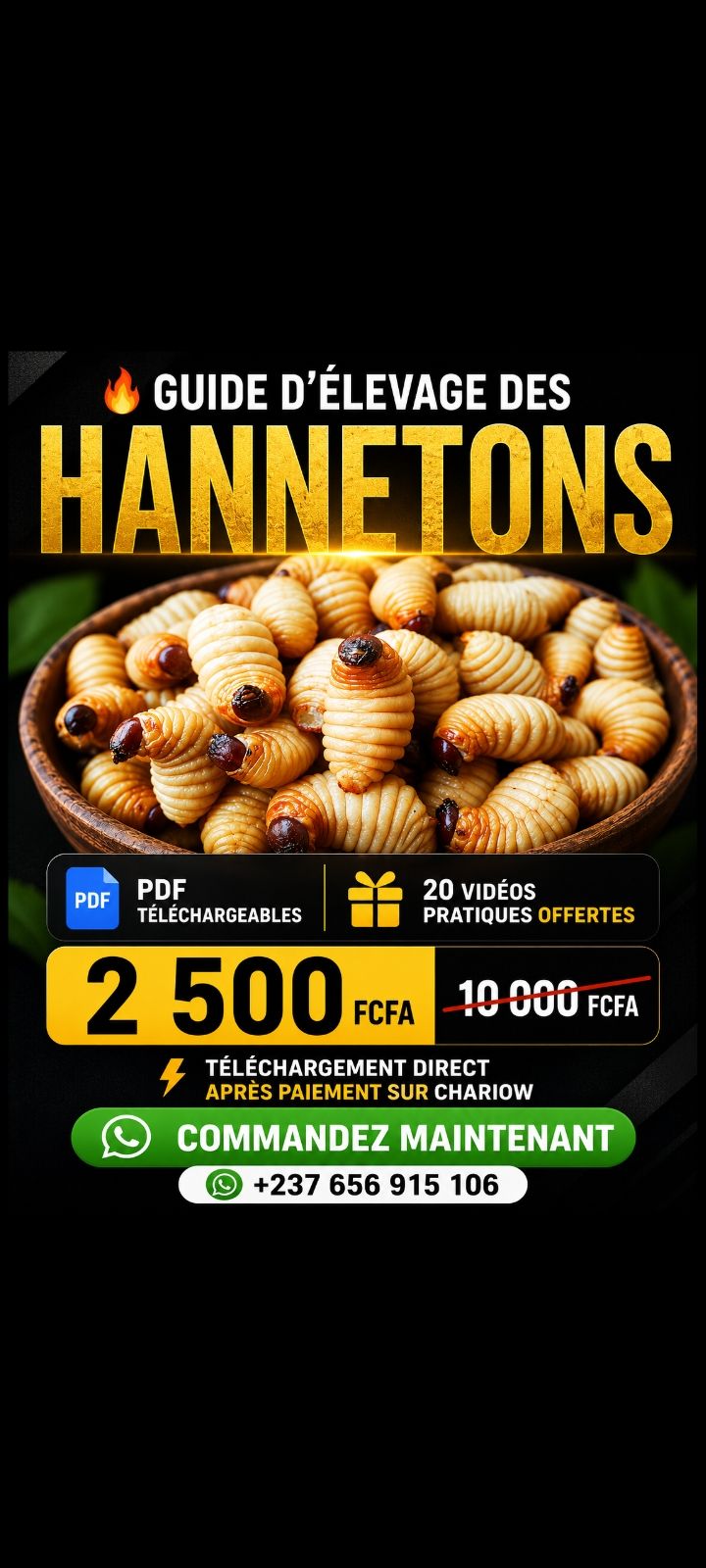 Guide complet d'élevage des HANNETONS