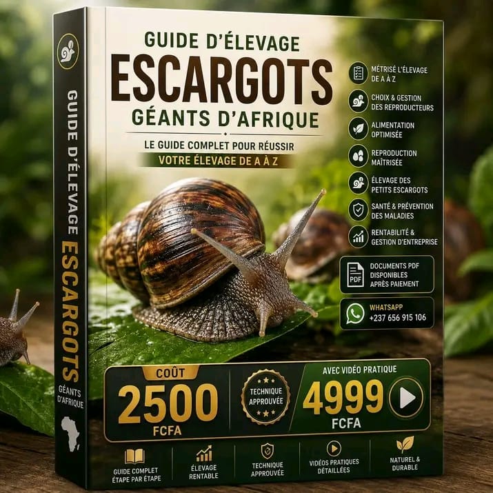 Guide d'élevage : ESCARGOTS