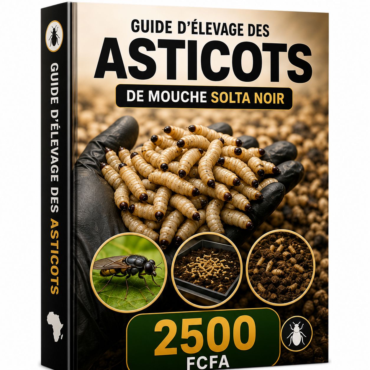 GUIDE PRODUCTION D'ASTICOTS BSF