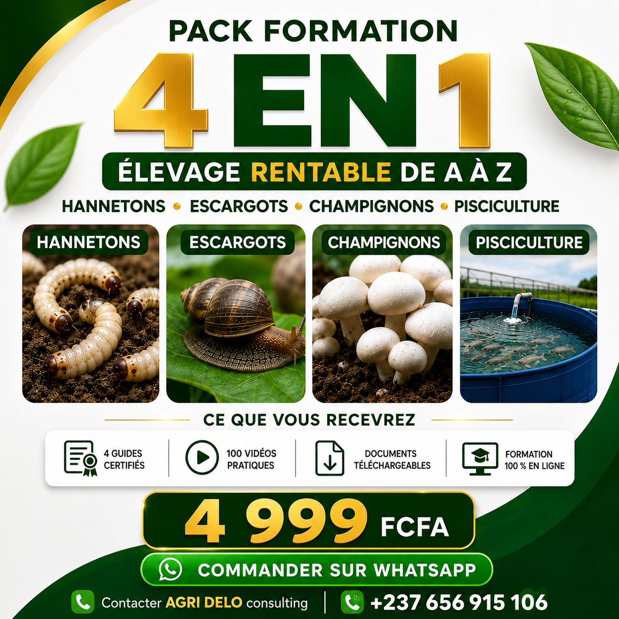 Pack formation 4 en 1 : Hannetons, ESCARGOTS, champignons et pisciculture