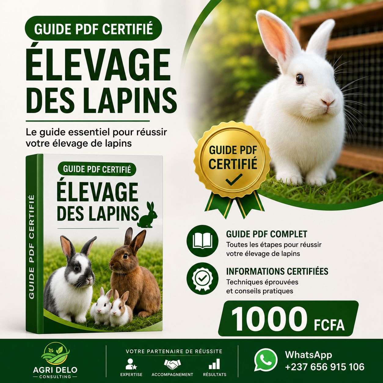 Guide complet LAPINS