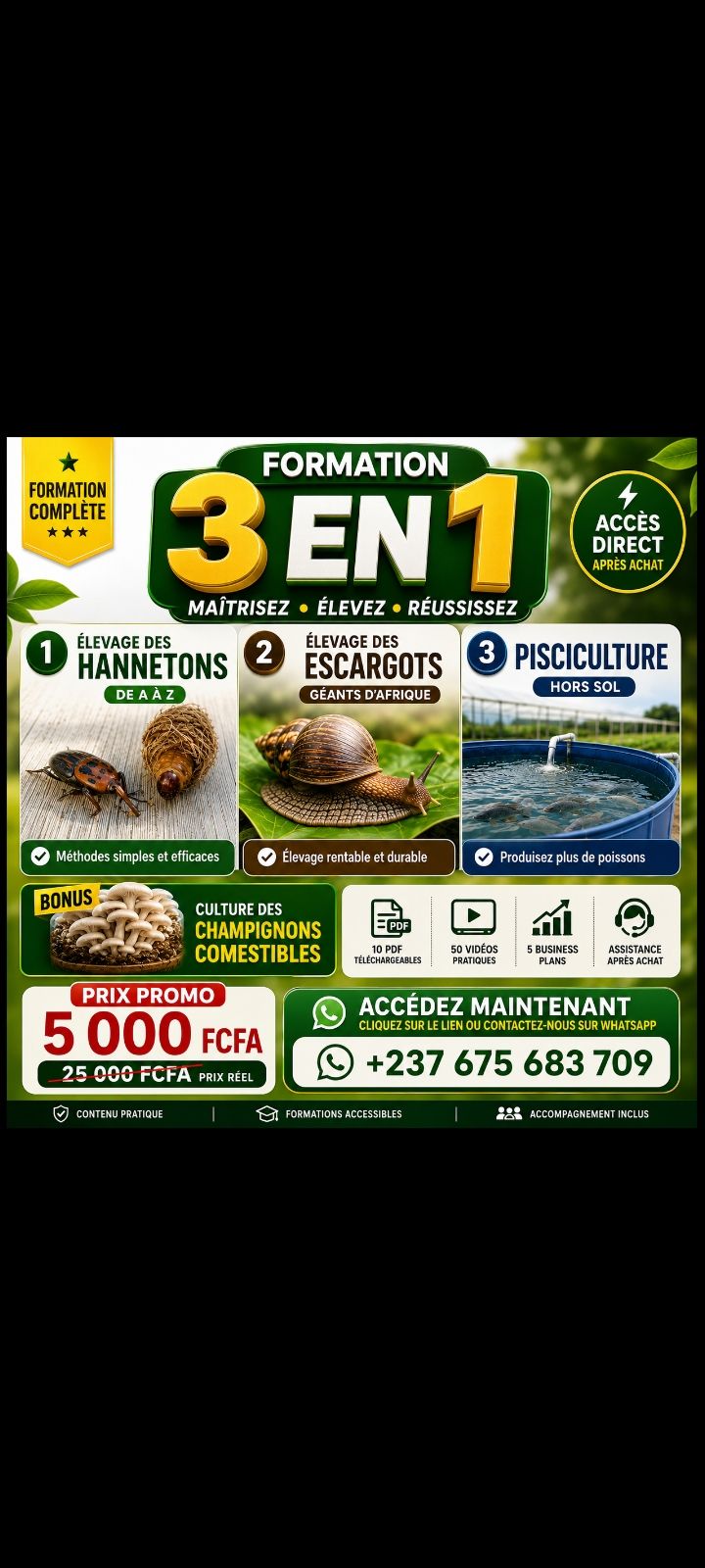 Formation 3en1