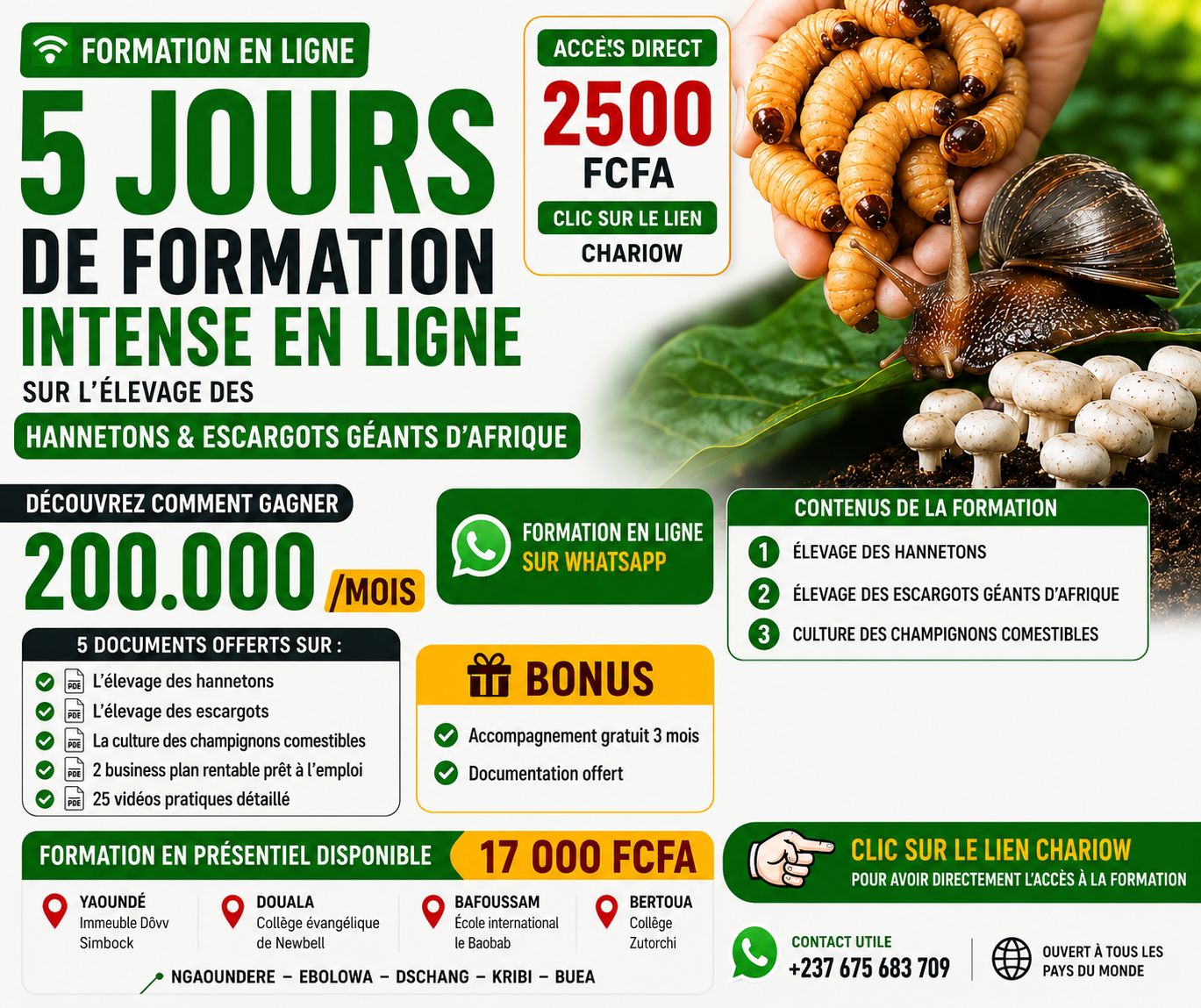 5 JOURS DE FORMATION EN LIGNE SUR L'ÉLEVAGE DES HANNETONS & ESCARGOTS GÉANTS D'AFRIQUE