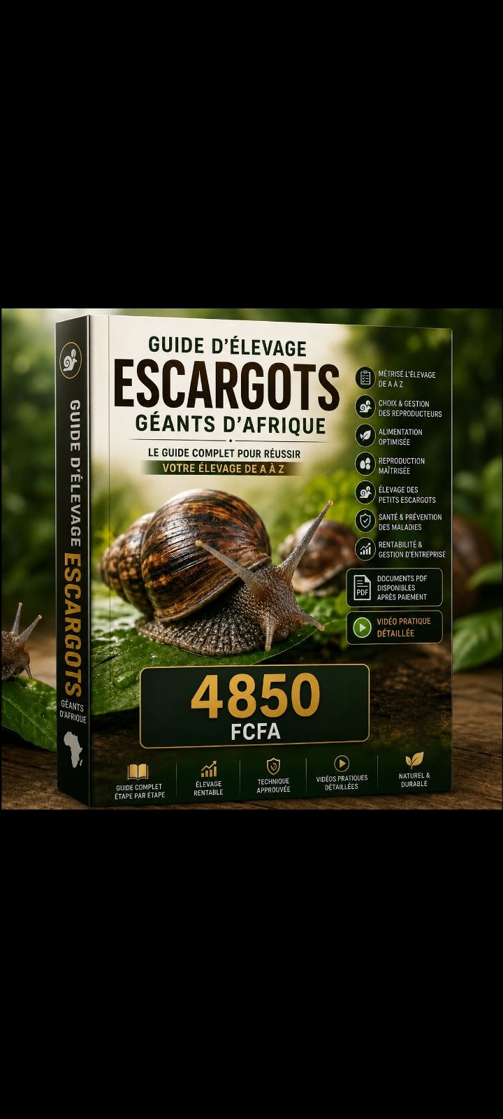 Pack formation Complet Héliciculture
