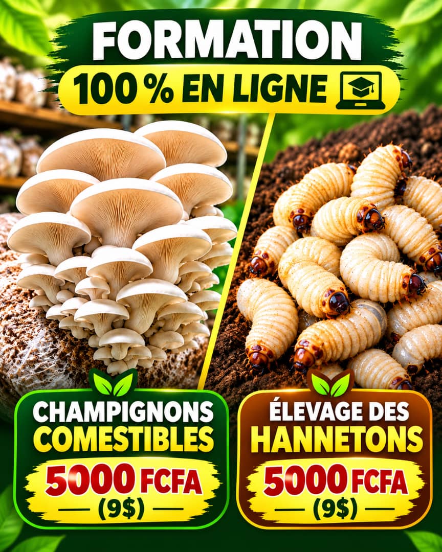 FORMATION SPÉCIAL 100% En ligne CULTURE des champignons & Élevage des Hannetons