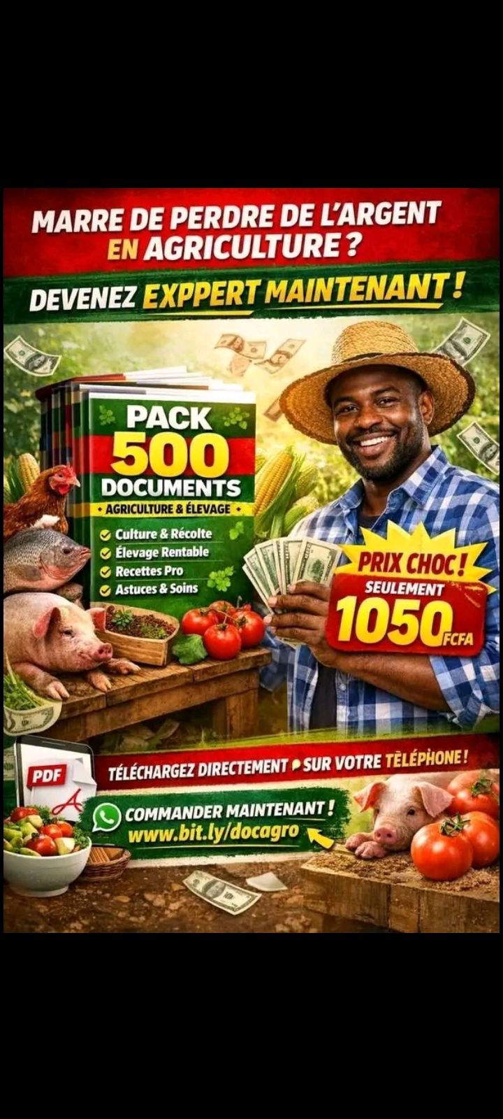 Pack 500 documents