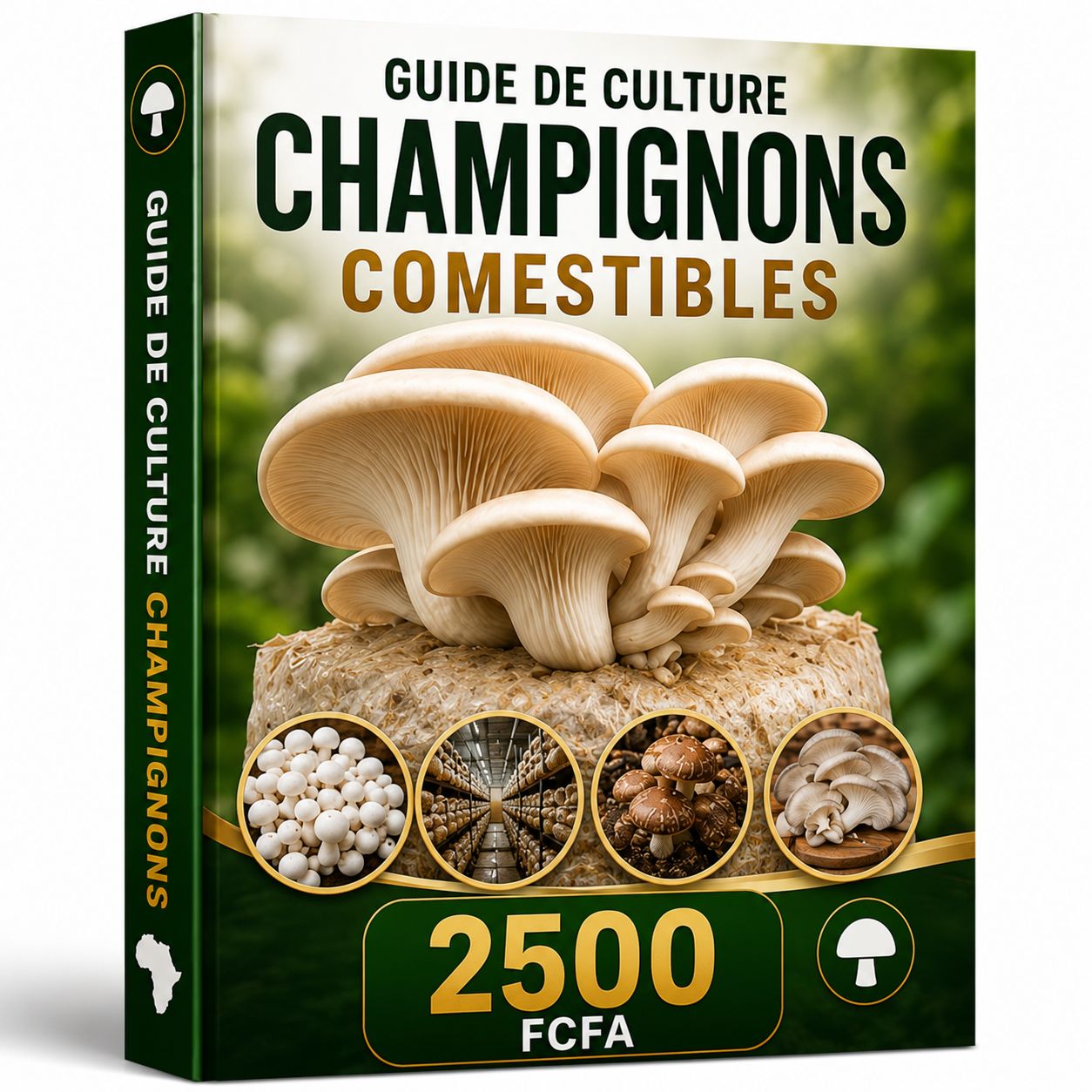 Guide Culture des Champignons