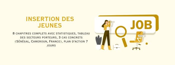 Réussir son insertion professionnelle en Afrique : Guide pratique pour décrocher son premier emploi