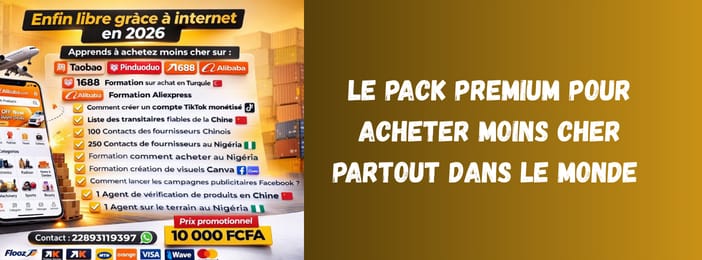 IMPORT PRO:Apprends à importer et à vendre des produits en Afrique comme un pro