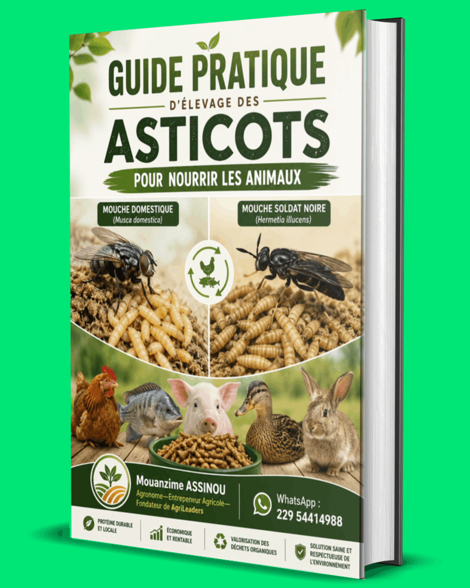 GUIDE PRATIQUE D’ÉLEVAGE DES ASTICOTS POUR NOURRIR LES ANIMAUX