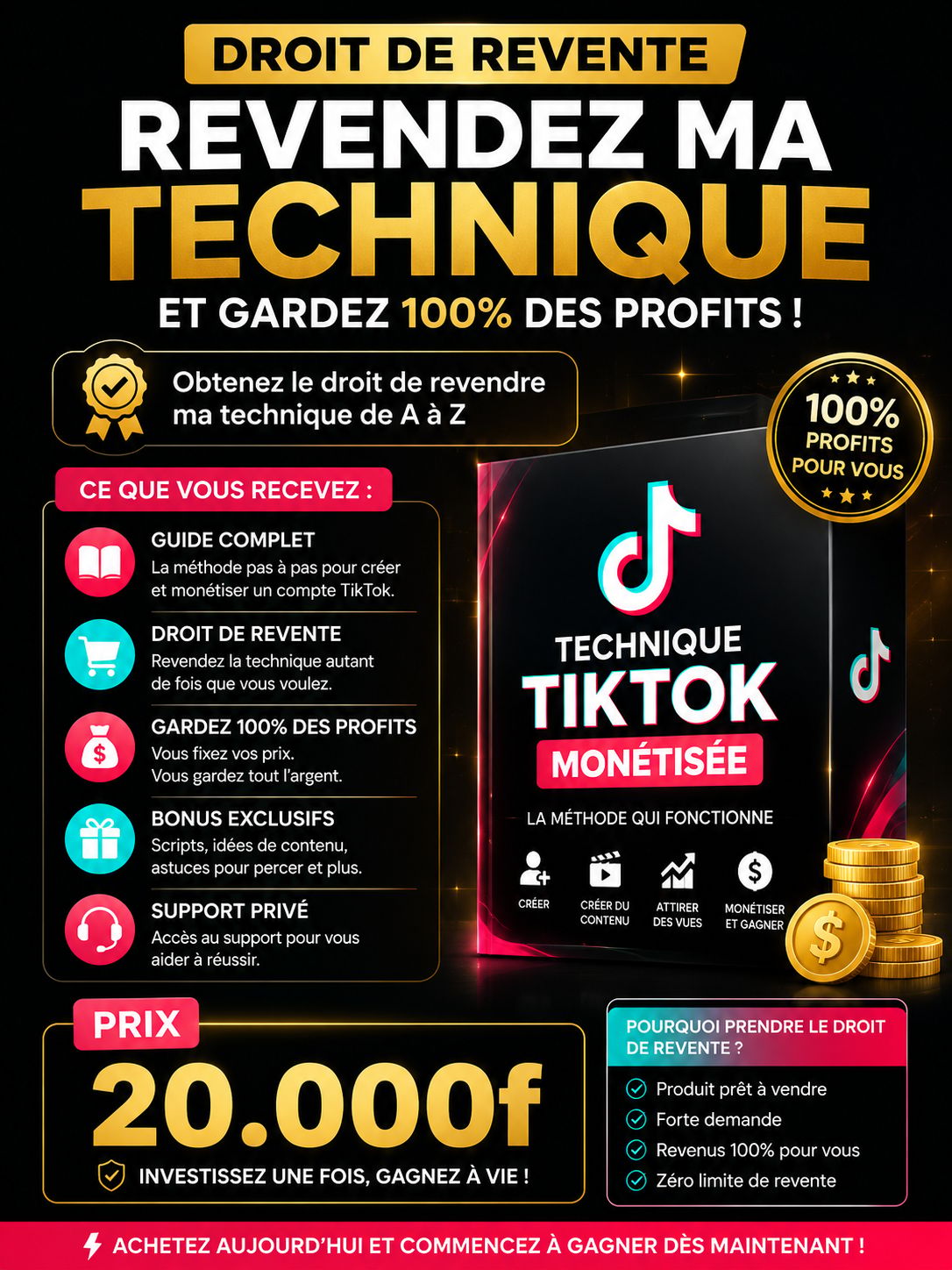 Formation TikTok Monétisé + Droit de revente)