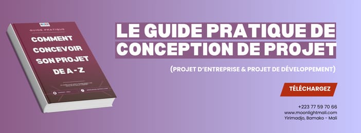 Le Guide Pratique de Conception de Projet (ONG & Entreprise)