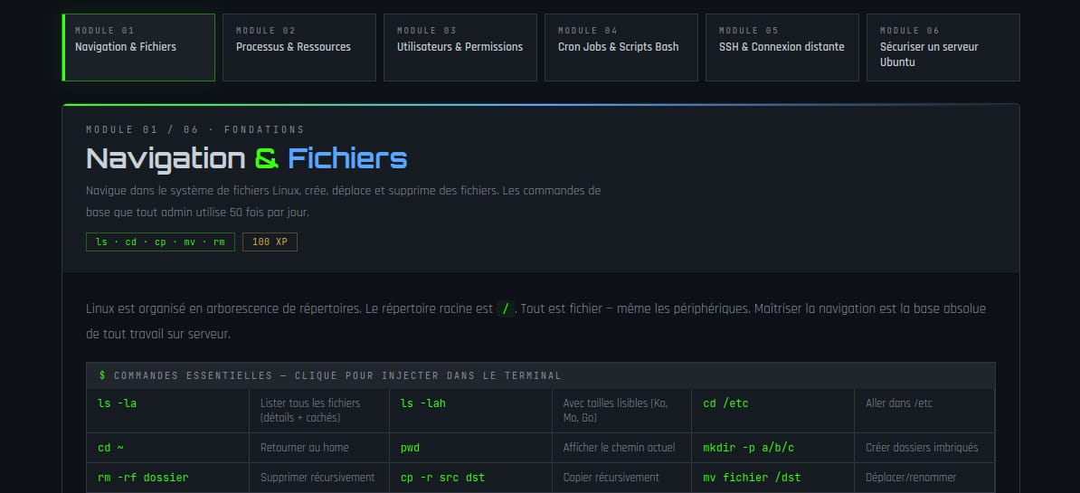 Linux Terminal Pro · Formation Interactive