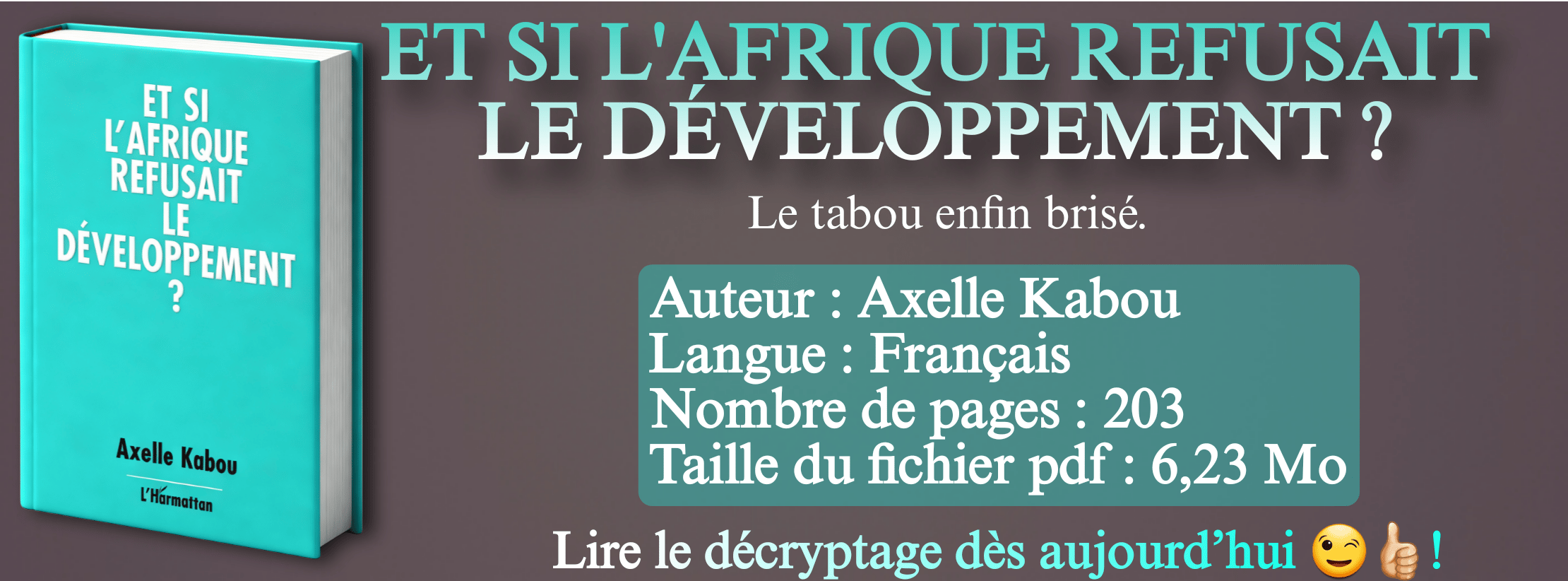 Et si l'Afrique Refusait le Développement ?