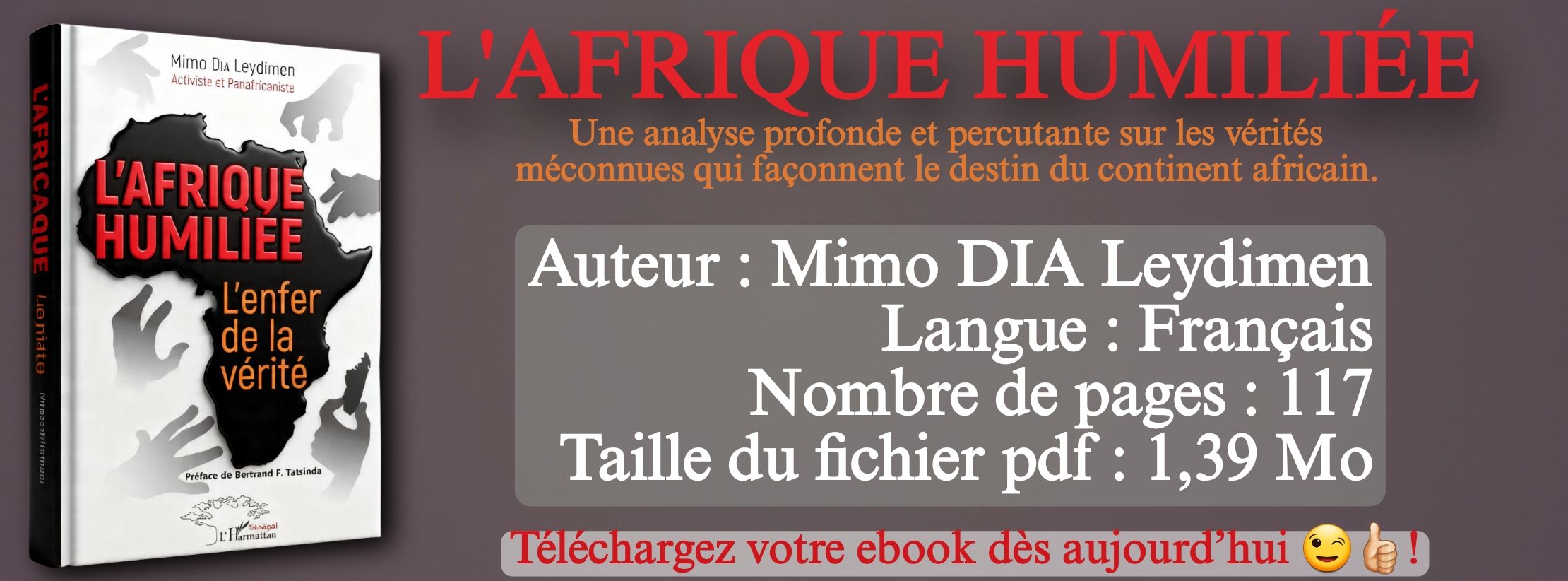 L'Afrique Humiliée : L'enfer de la vérité