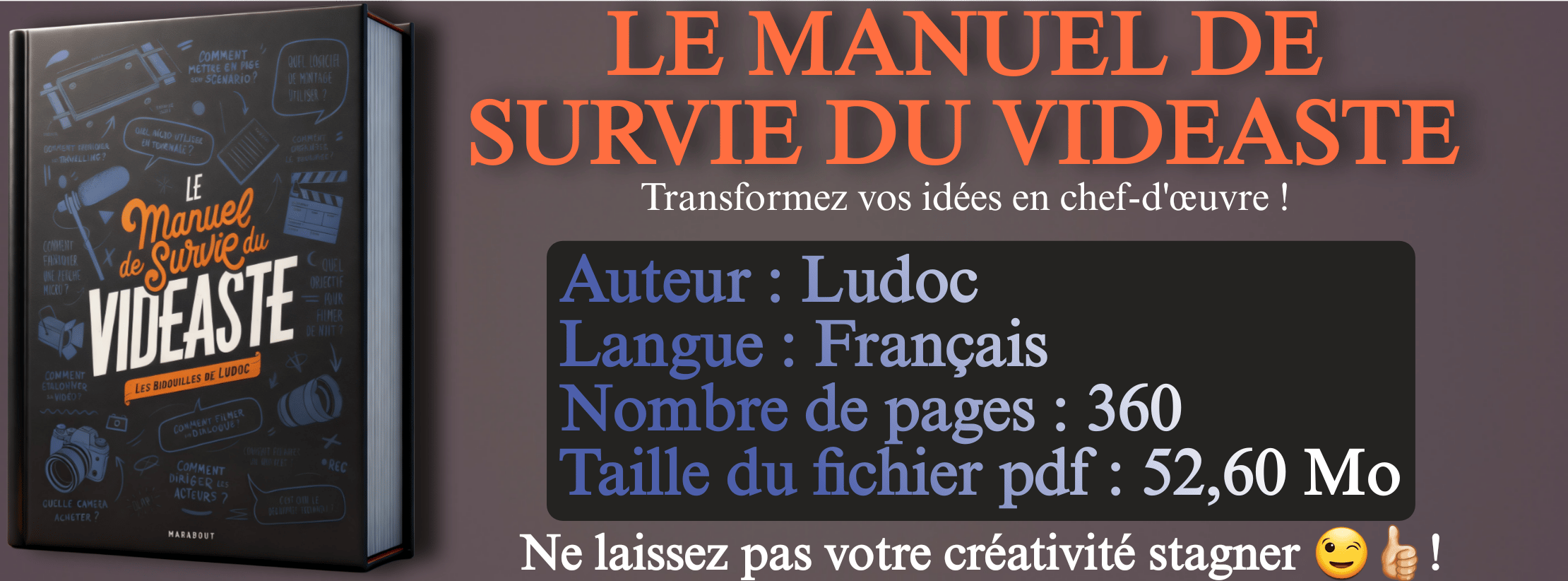 Le manuel de suivi du VIDEASTE