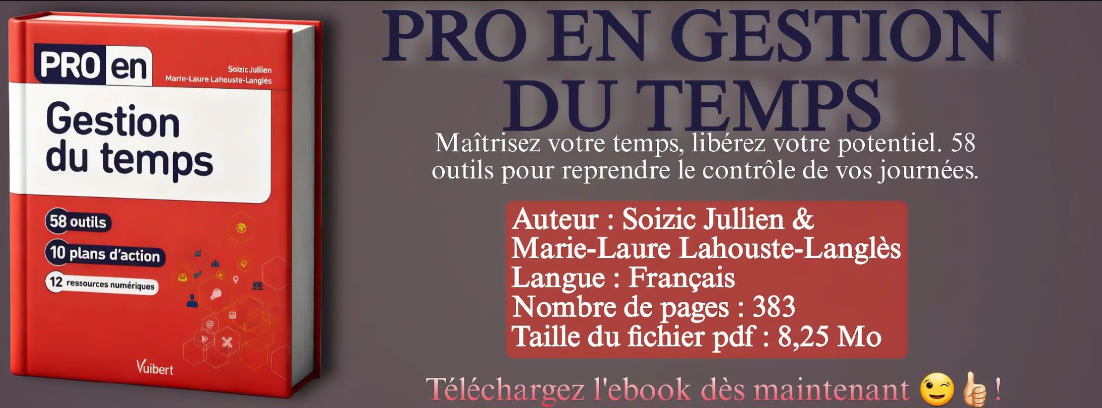 Pro en Gestion du Temps