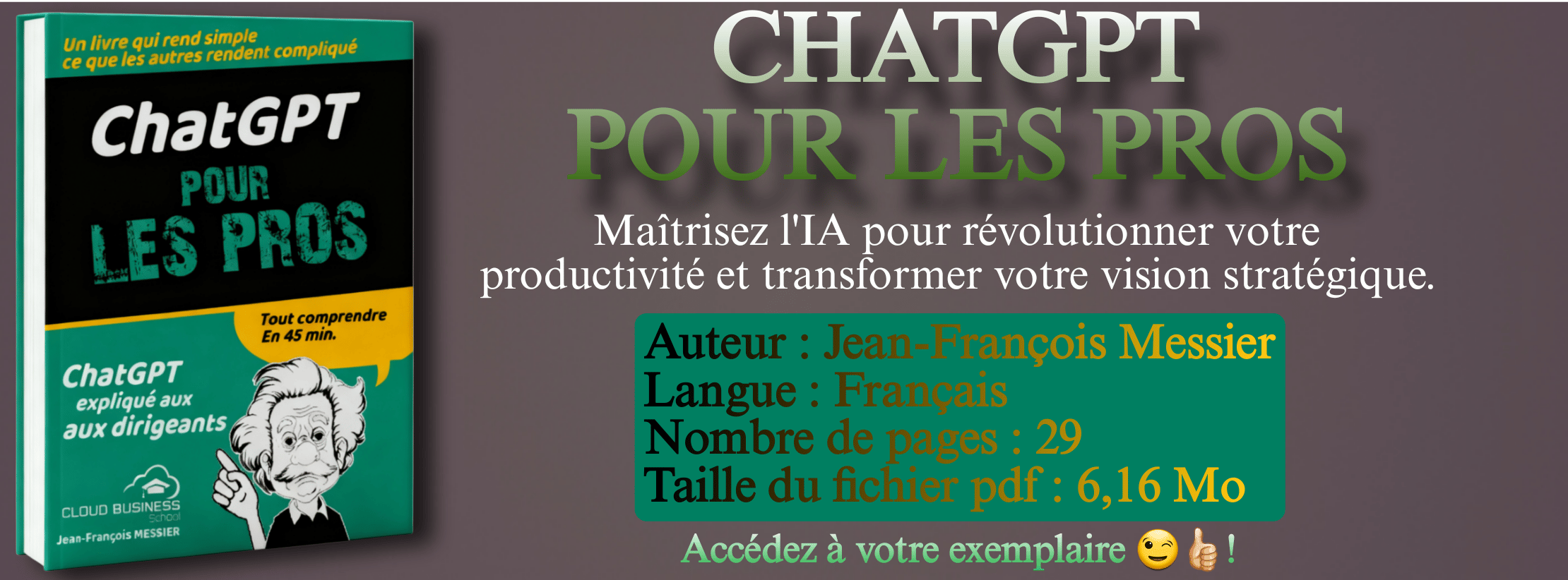 ChatGpt pour les Pros