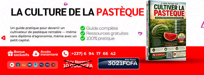 GUIDE;LA CULTURE DE LA PASTÈQUE