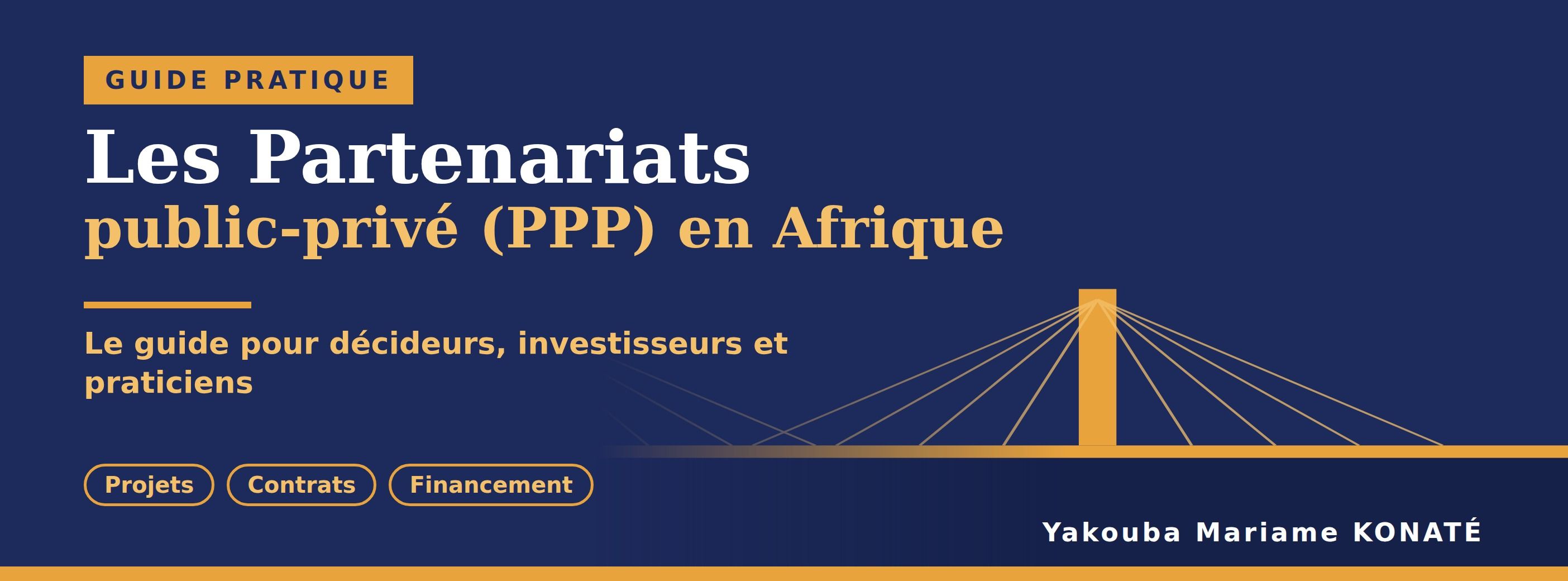 Les Partenariats public-privé (PPP) en Afrique : le guide pratique