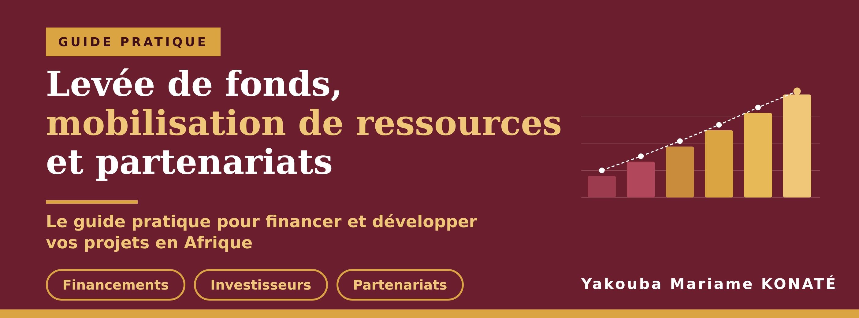 Levée de fonds, mobilisation de ressources et partenariats : Financer vos projets en Afrique