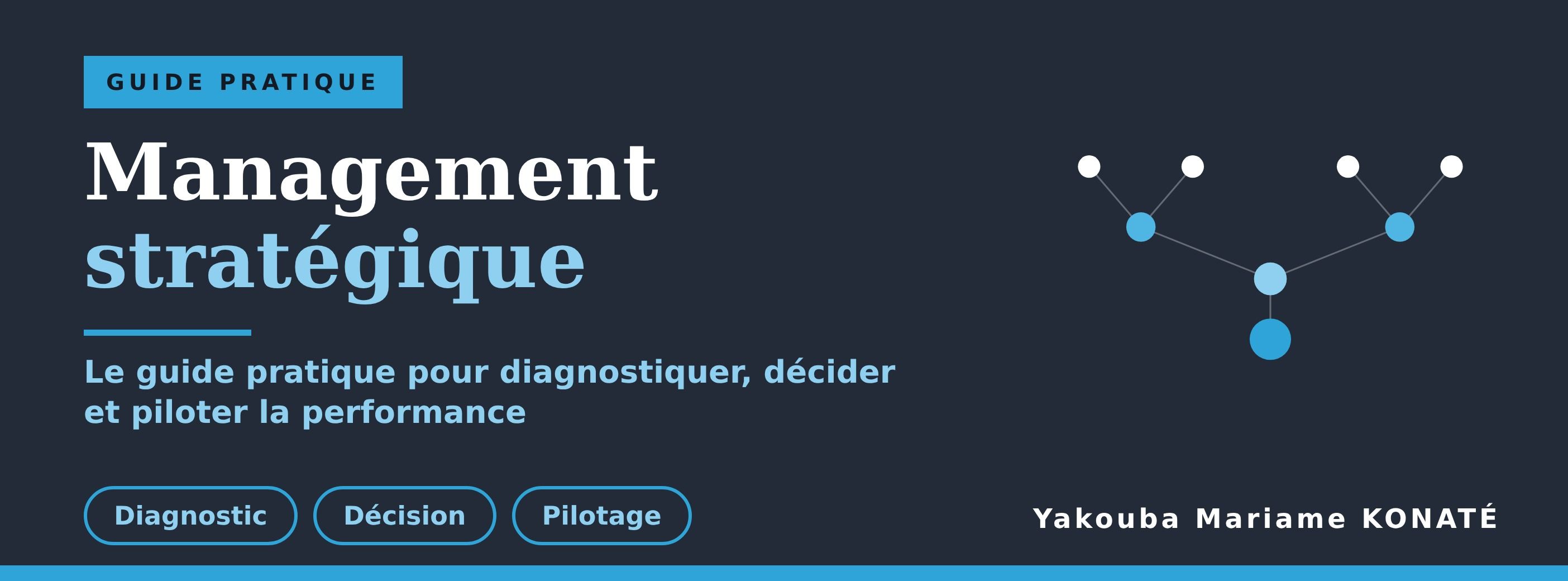 Management stratégique : le guide pratique pour diagnostiquer, décider et piloter la performance