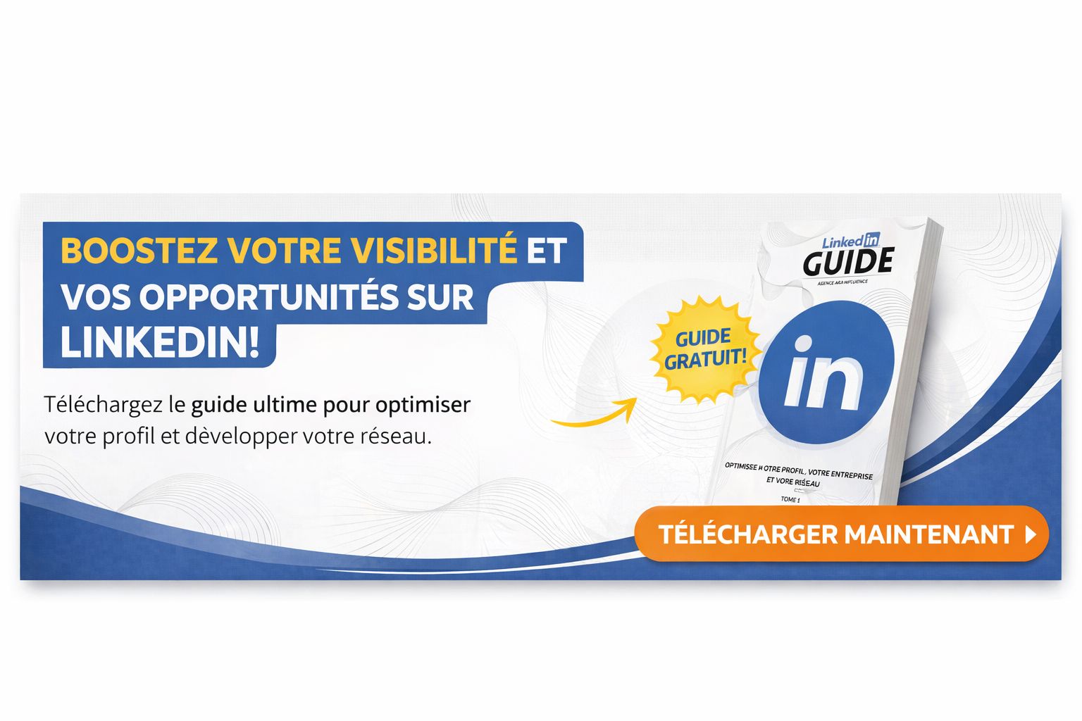 Linkedin Guide par Arif KARIMOU