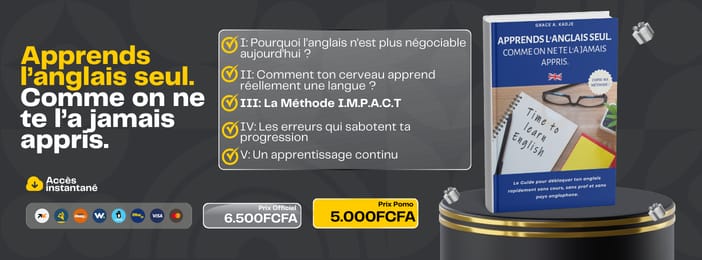 APPRENDS L'ANGLAIS SEUL. COMME ON NE TE L'A JAMAIS APPRIS. 2.0