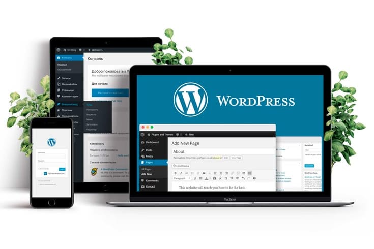 Création, config et hébergement d'un site professionnelle