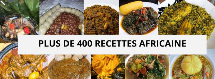Guide: Plus de 400 recettes de cuisine traditionnelle Africaine