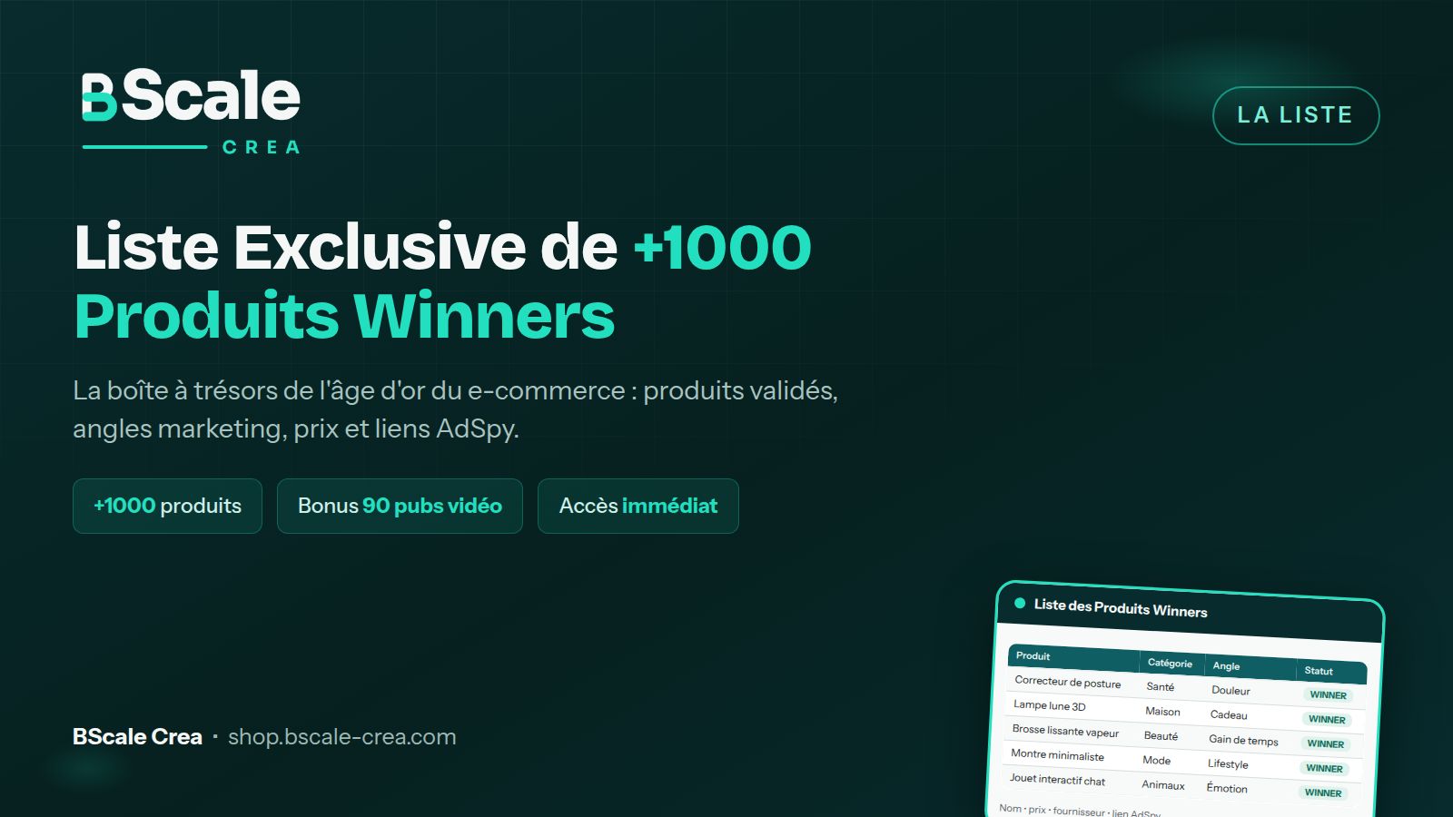 Liste Exclusive de +1000 Produits Winners