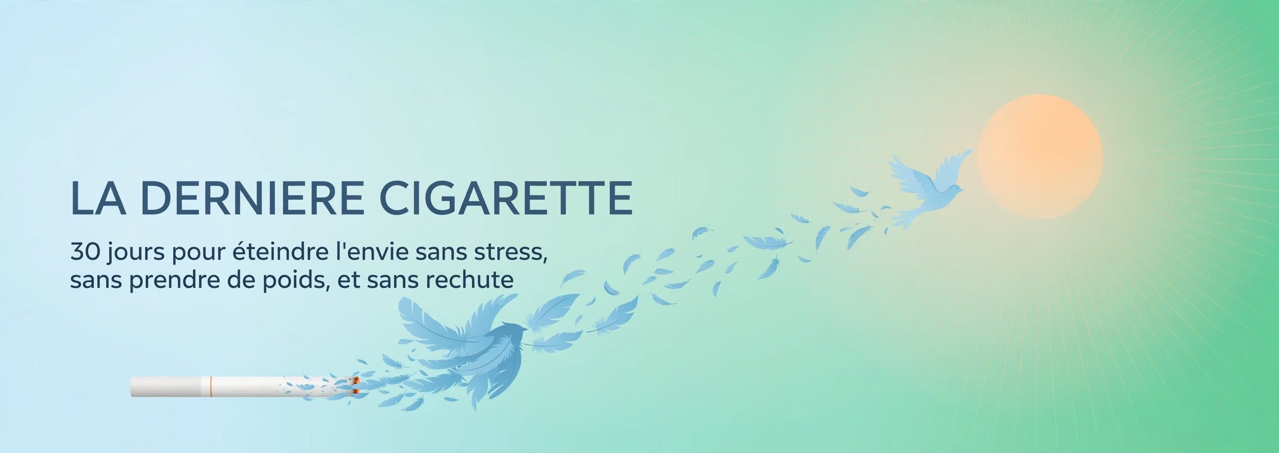 La Dernière Cigarette - 30 jours pour éteindre l'envie sans prendre 10 kilos et sans stress