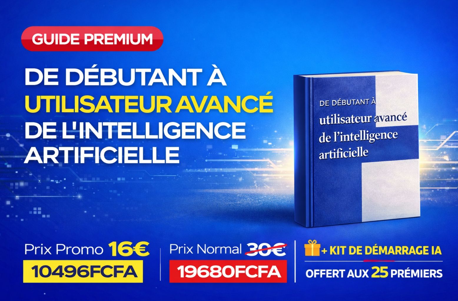 De débutant à utilisateur avancé de l’IA