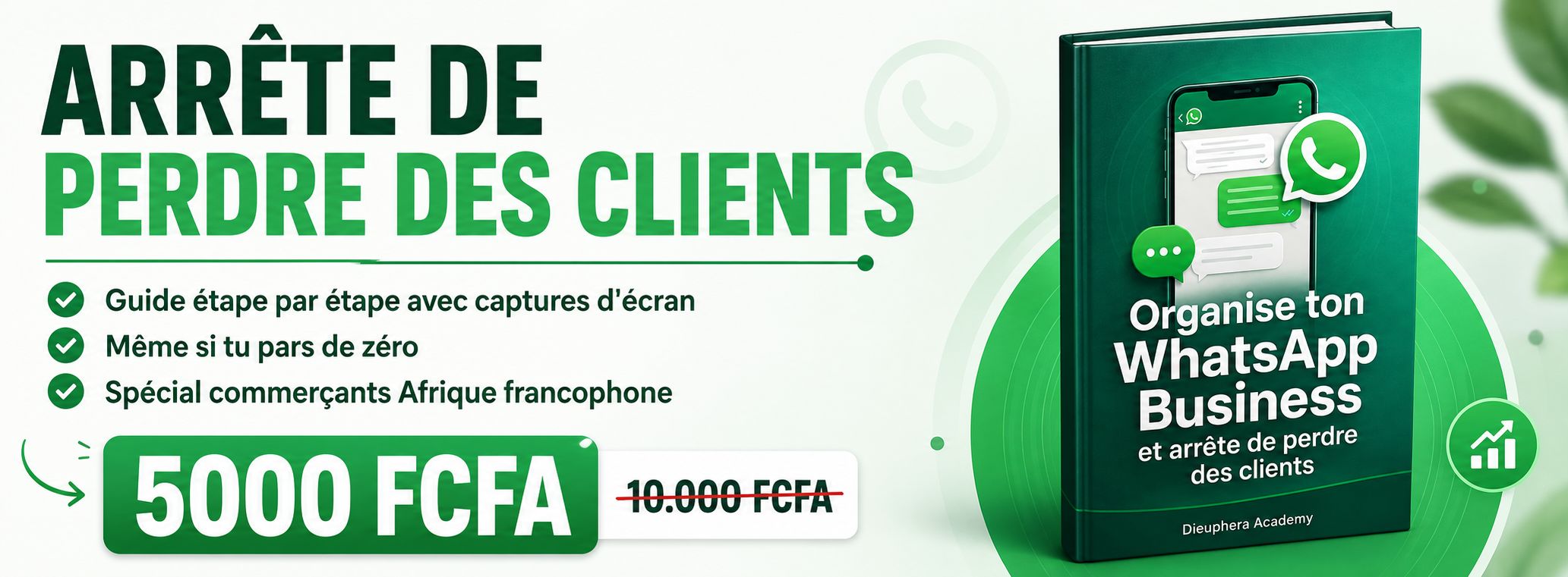 Organise ton WhatsApp Business et arrête de PERDRE des CLIENTS - même si tu pars de zéro