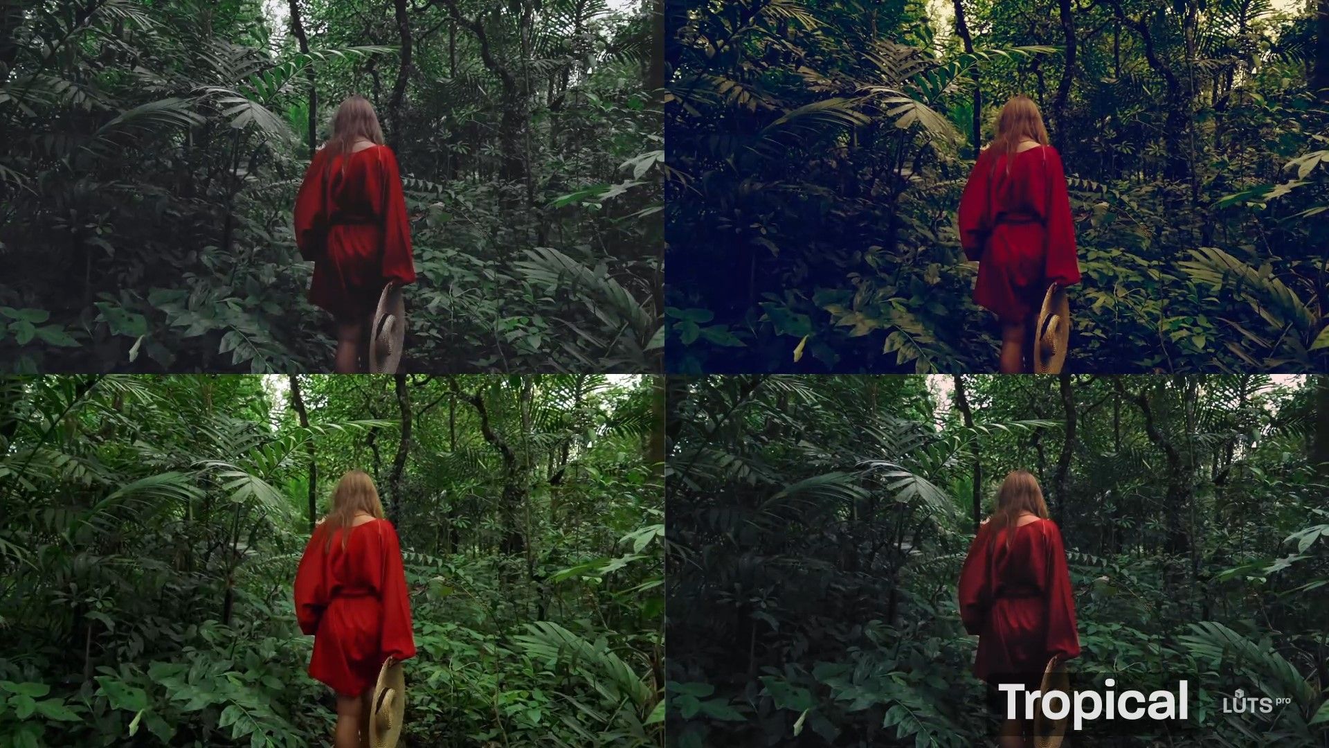 🎬 CINE TONE LUTS – Pack LUTs Cinématographiques Professionnel