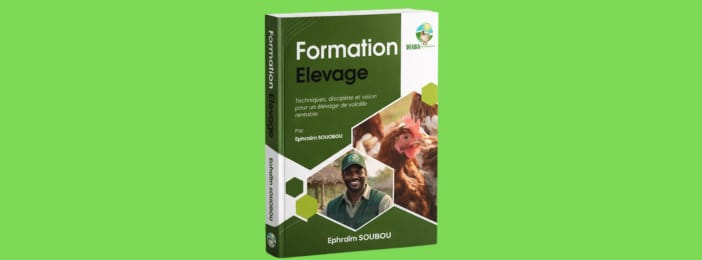 Formation en élevage de volaille