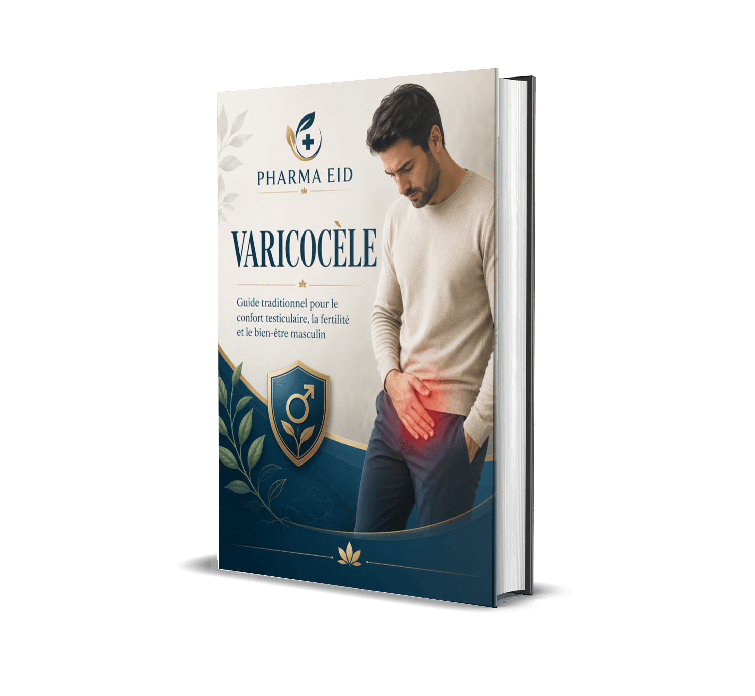 Varicocèle — le Confort Testiculaire, la Circulation Locale et le Bien-être Masculin