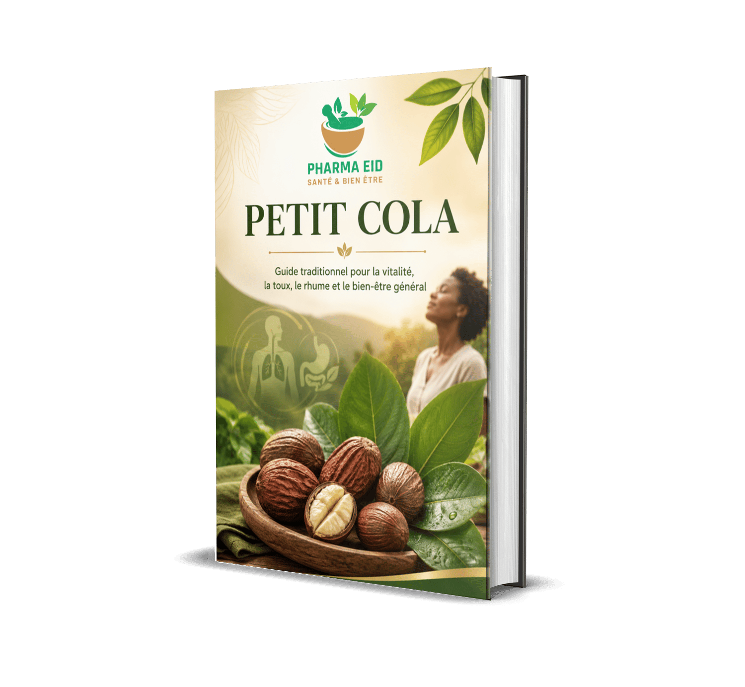 Petit Cola : La vitalité, la digestion, le confort respiratoire et le bien-être général