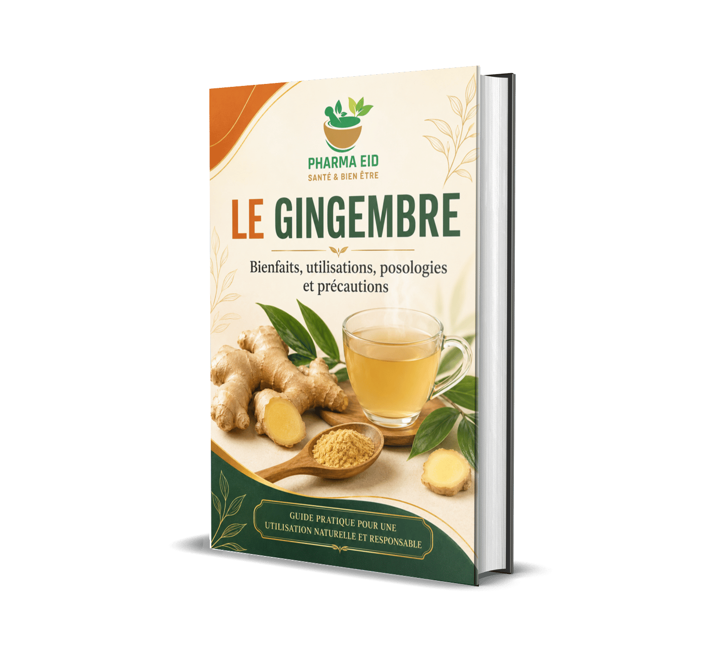 POUDRE DE GINGEMBRE — Guide traditionnel pour la digestion, les nausées et le bien-être général
