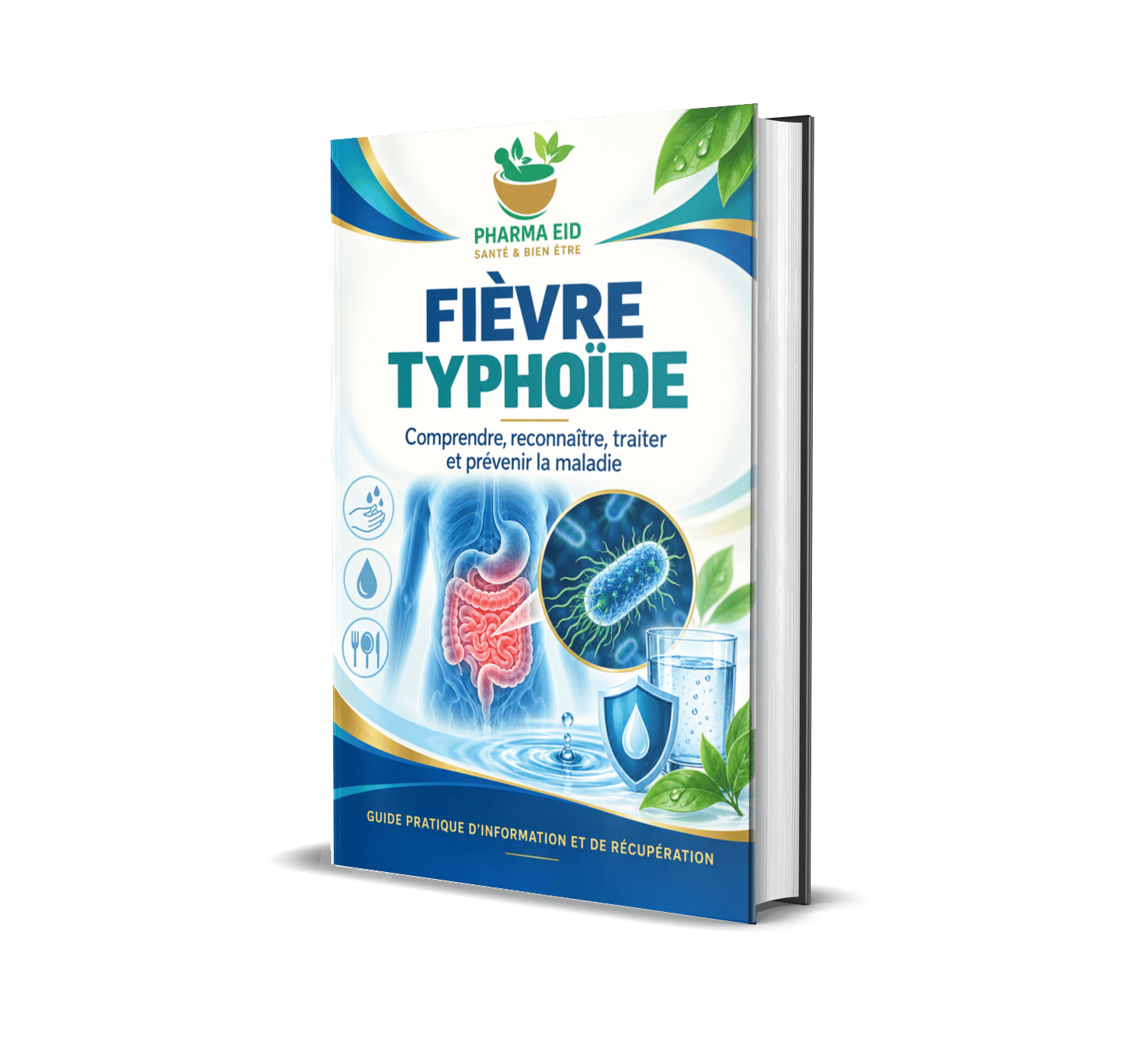 TYPHOÏDE – Guide Complet de Prévention, de Compréhension et de Rétablissement | Santé Digestive